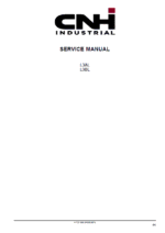 CNH L3AL, L3BL Tier 3 Engine Service Manual