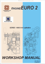 DEUTZ Engine Euro 2 Series 1000 Workshop Service Manual